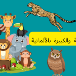 الحيوانات البرية والكبيرة بالألمانية