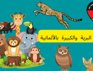 الحيوانات البرية والكبيرة بالألمانية