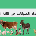 أسماء الحيوانات في اللغة الألمانية