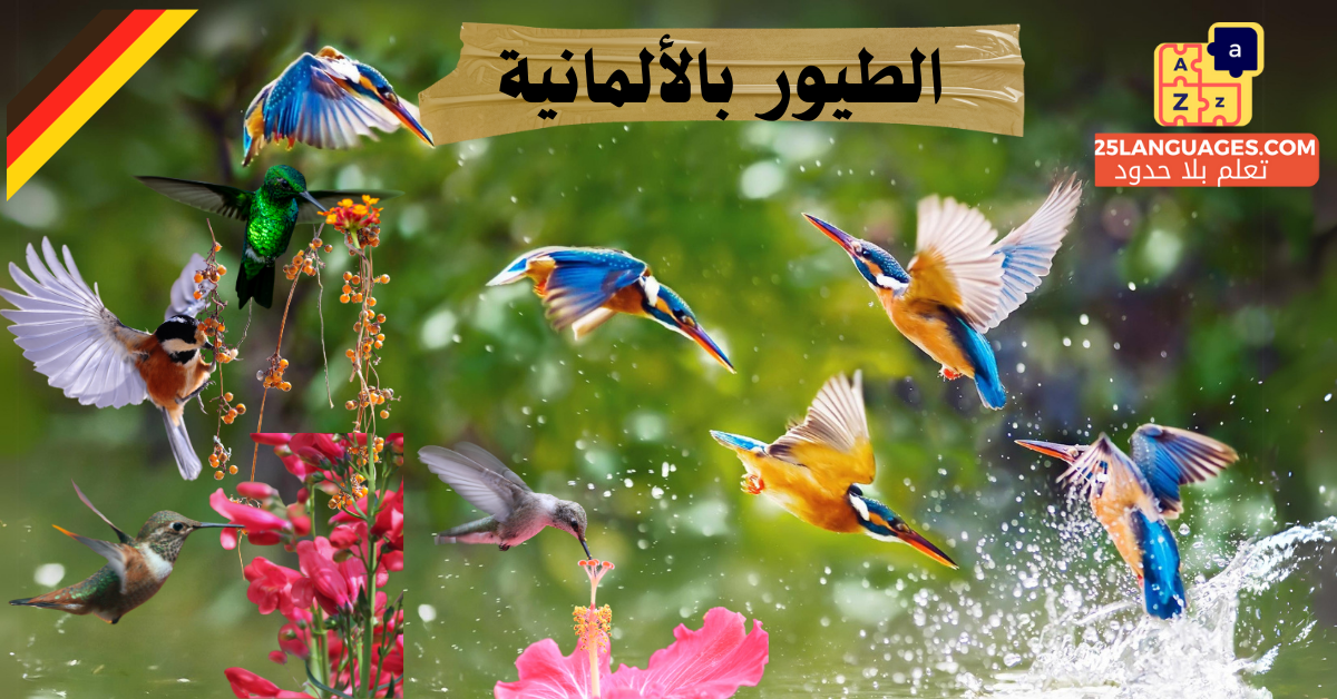 أنواع الطيور وأسماءها باللغة الألمانية