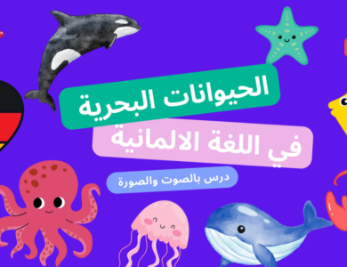 الحيوانات البحرية بالألمانية