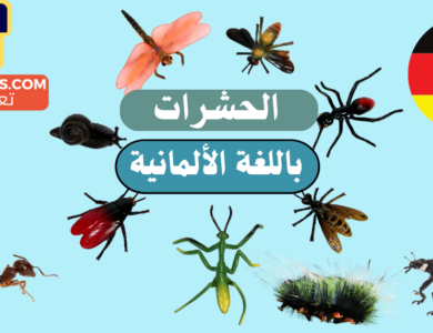 أسماء الحشرات في اللغة الألمانية