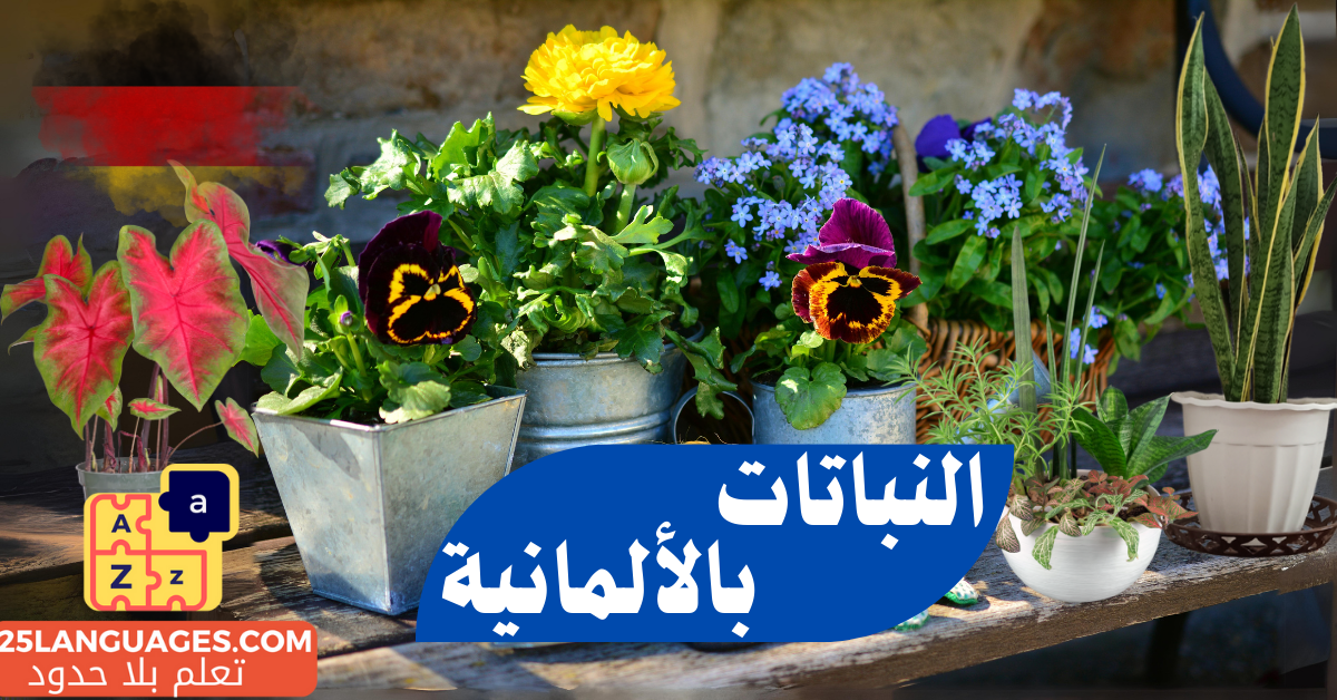 أسماء النباتات باللغة الألمانية