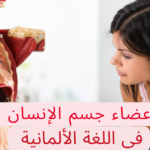 أعضاء جسم الإنسان باللغة الألمانية