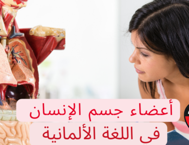 أعضاء جسم الإنسان باللغة الألمانية