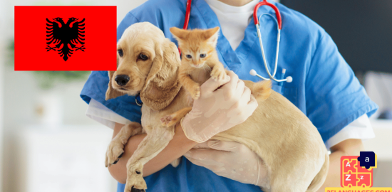 Learn Albanian - Phrases At the veterinarian