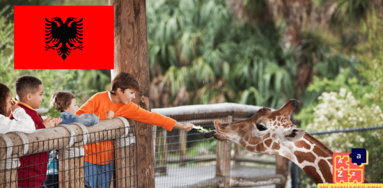 Learn Albanian - Phrases in the zoo