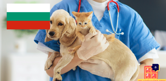 Learn Bulgarian - Phrases At the veterinarian