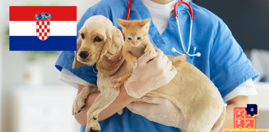 Learn Croatian - Phrases At the veterinarian