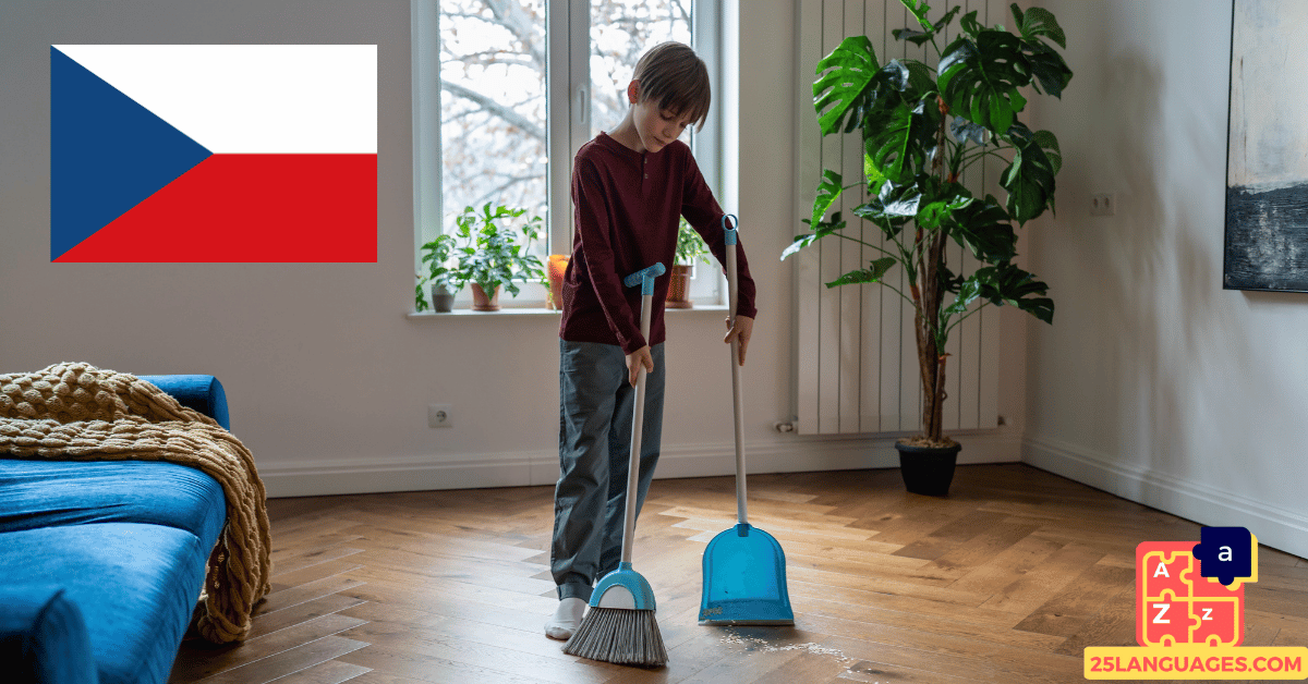 Learn Czech - Phrases for Household chores