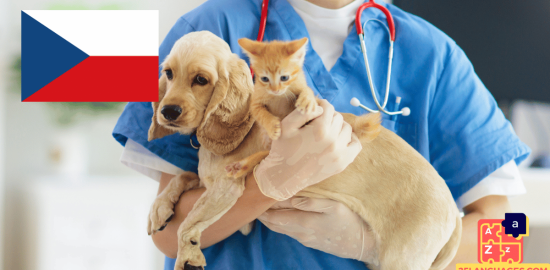 Learn Czech - Phrases At the veterinarian