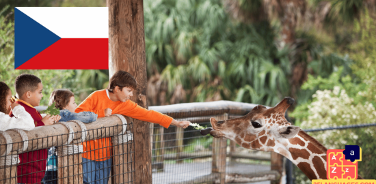 Learn Czech - Phrases in the zoo