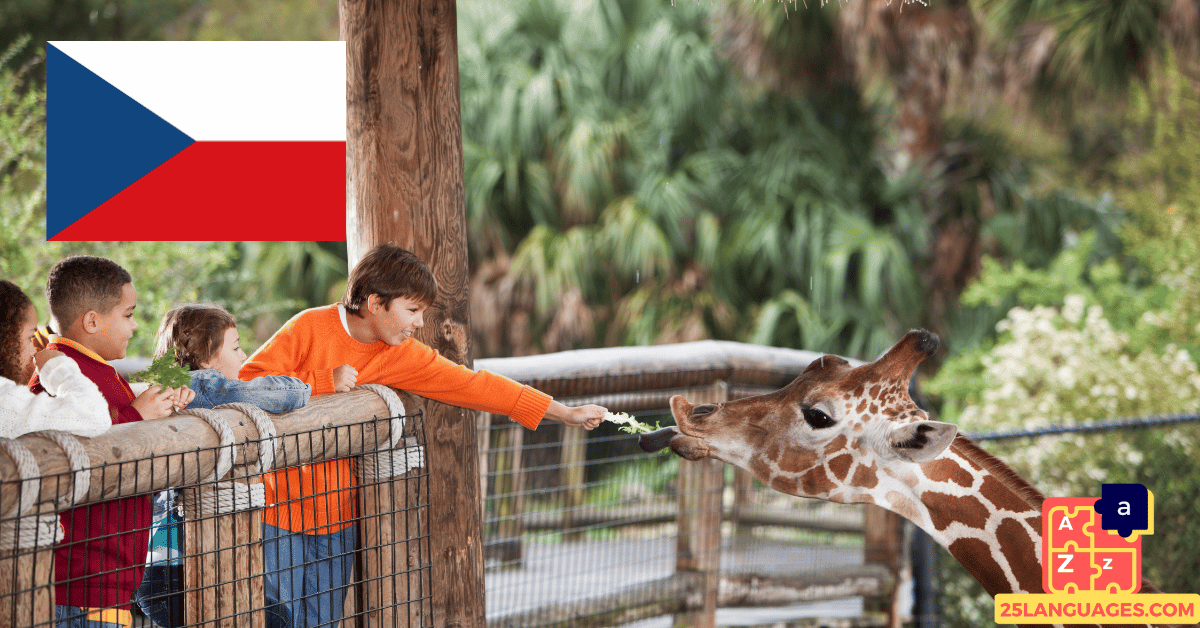 Learn Czech - Phrases in the zoo