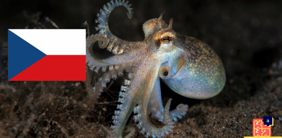 Learn Czech - Names of Marine Creatures