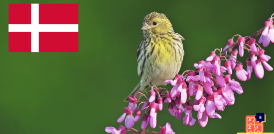 Apprendre le danois - Noms d'oiseaux