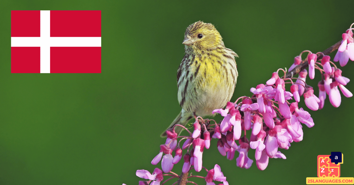 Apprendre le danois - Noms d'oiseaux