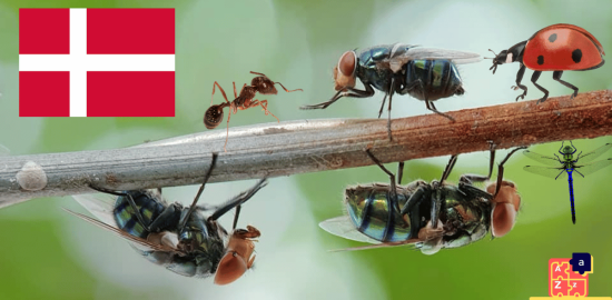 Learn Danish - Insects