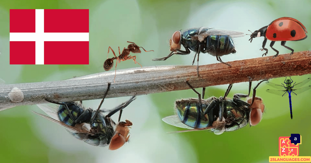 Learn Danish - Insects