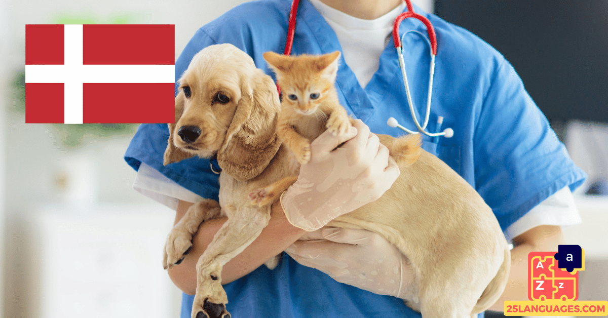 Learn Danish - Phrases At the veterinarian