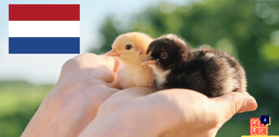 Learn Dutch - Names of Young Animals