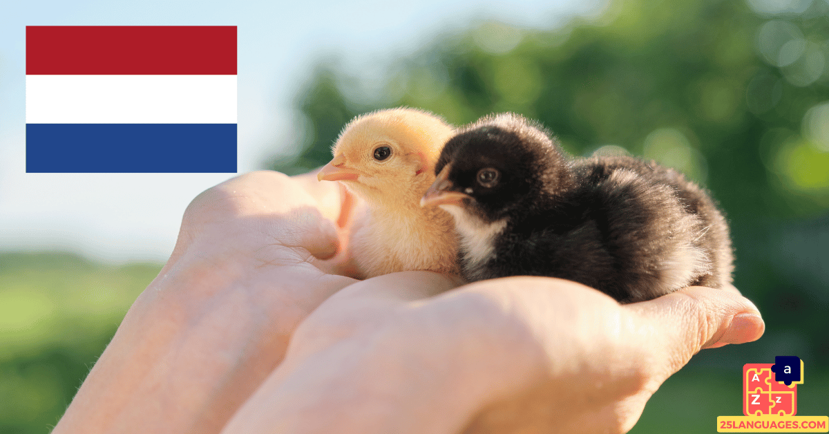 Learn Dutch - Names of Young Animals