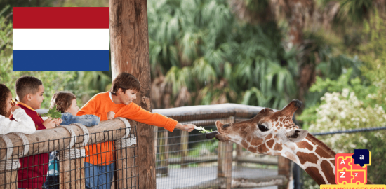 Learn Dutch - Phrases in the zoo