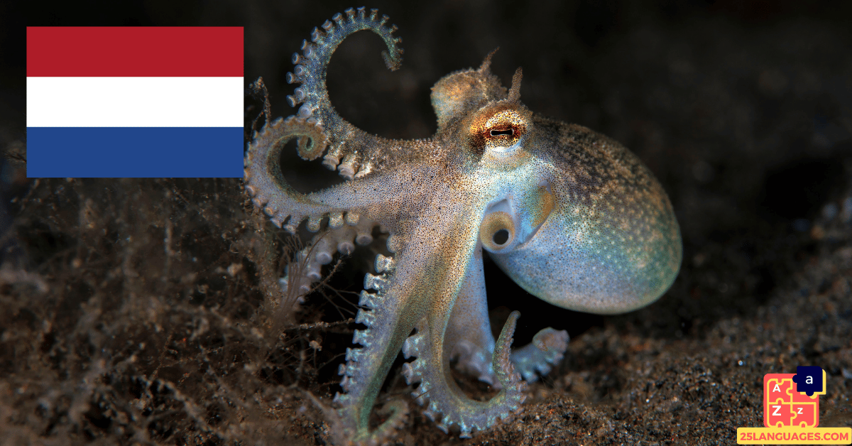 Learn Dutch - Names of Marine Creatures