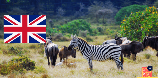 Apprendre l'anglais - Animaux