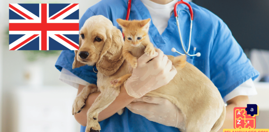 Learn English - Phrases At the veterinarian