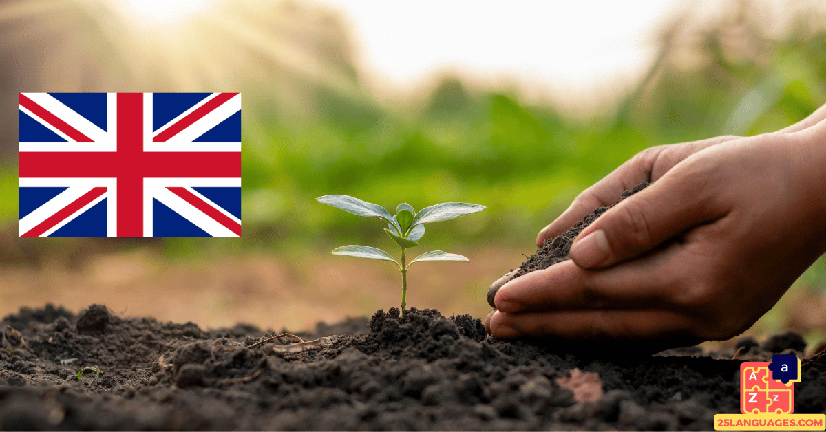 Learn English - Plants