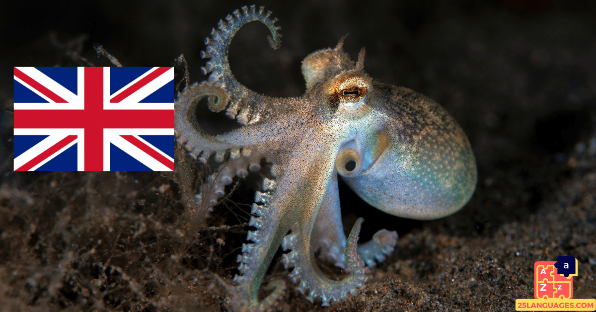 Learn English - Names of Marine Creatures
