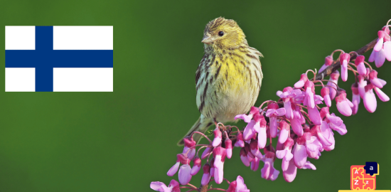 Learn Finnish - Birds Names