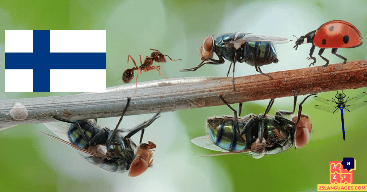 Learn Finnish - Insects