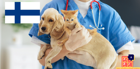 Learn Finnish - Phrases At the veterinarian