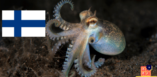 Learn Finnish - Names of Marine Creatures