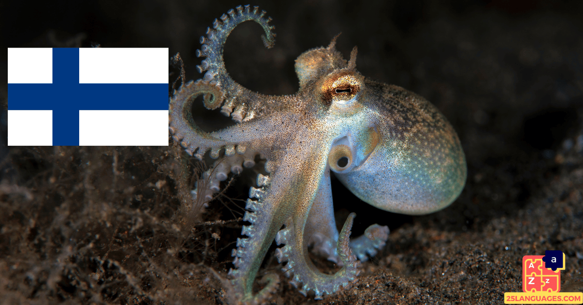 Learn Finnish - Names of Marine Creatures