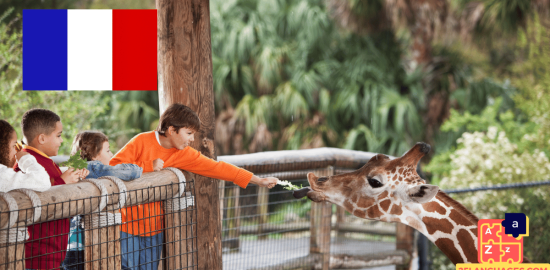 Apprendre le français - Phrases au zoo