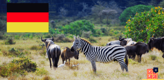 Apprendre l'allemand - Animaux