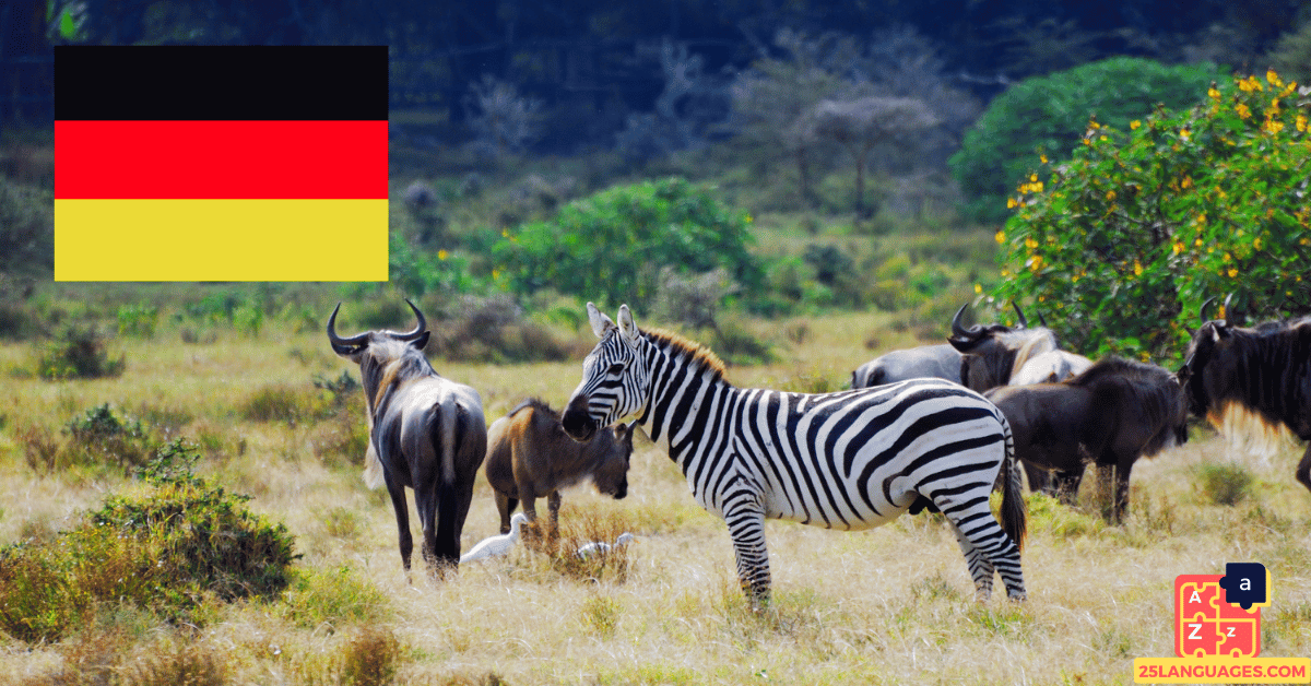 Learn German - Animals