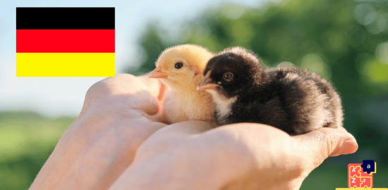 Apprendre l'allemand - Noms des petits animaux