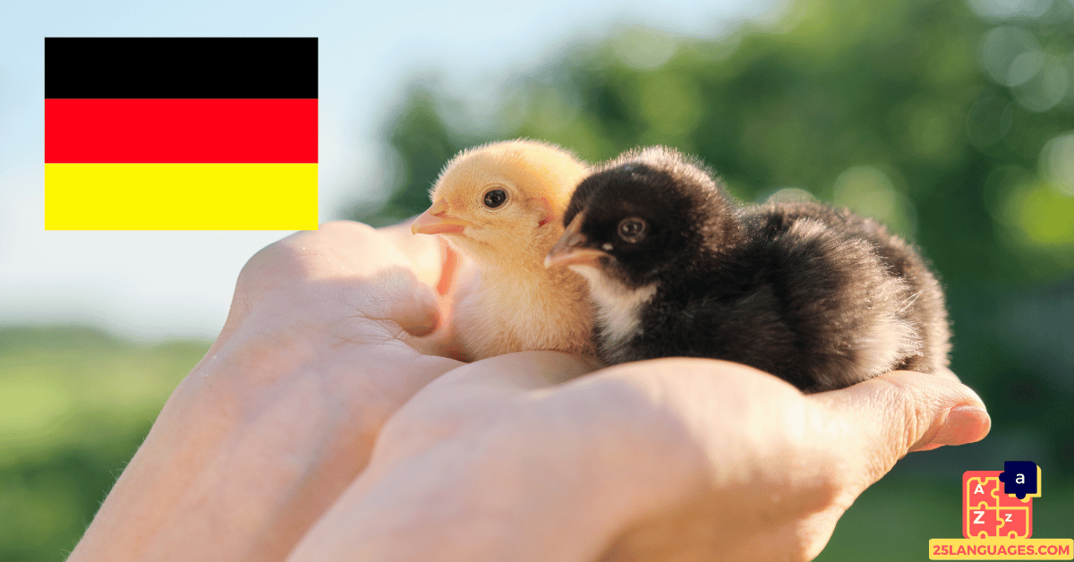 Apprendre l'allemand - Noms des petits animaux