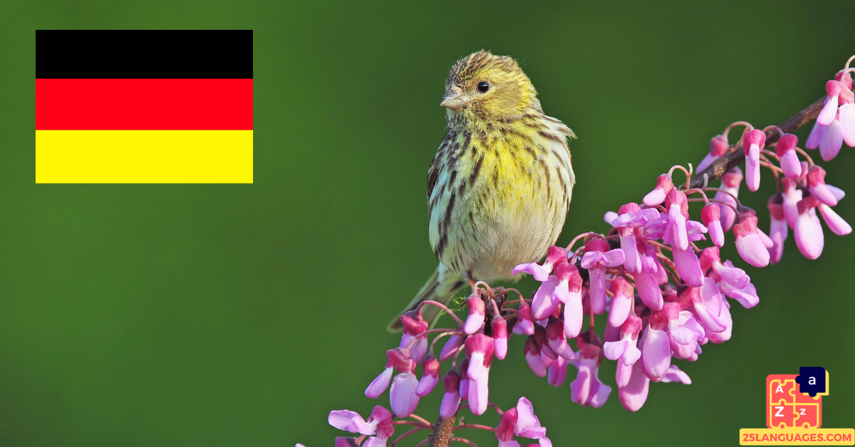 Learn German - Birds Names