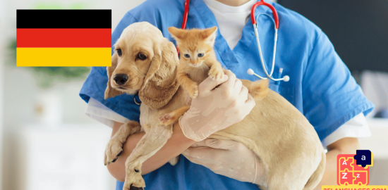 Learn German - Phrases At the veterinarian