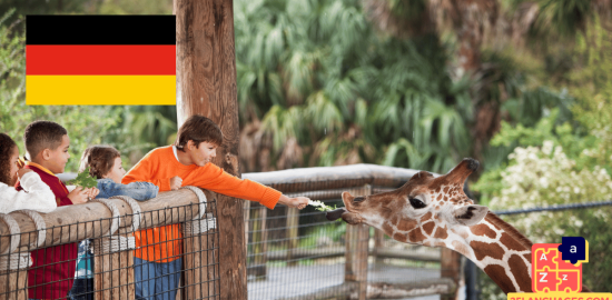 Apprendre l'allemand - au zoo