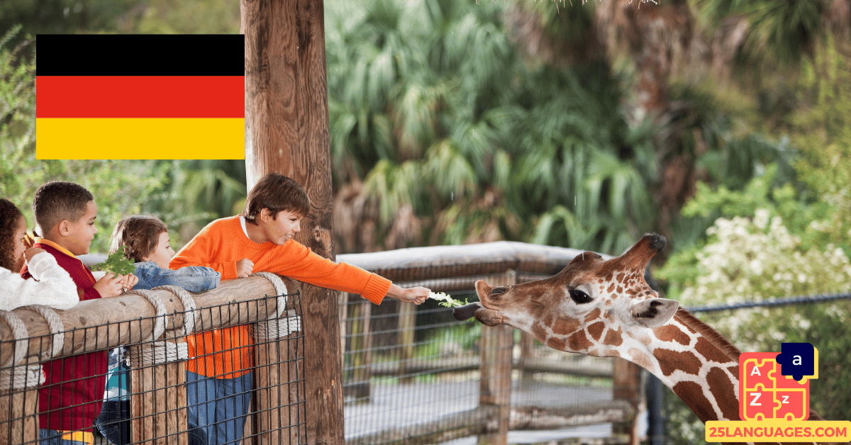 Learn German - Phrases At the zoo