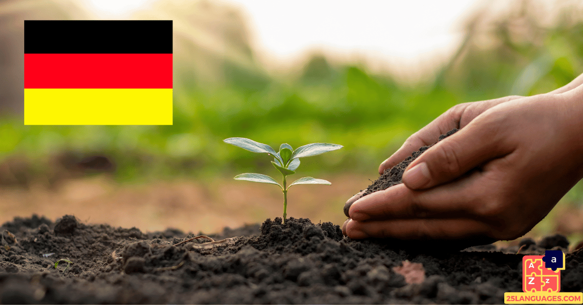 Apprendre l'allemand - Plantes