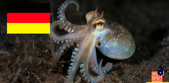 Apprendre l'allemand - Noms des créatures marines