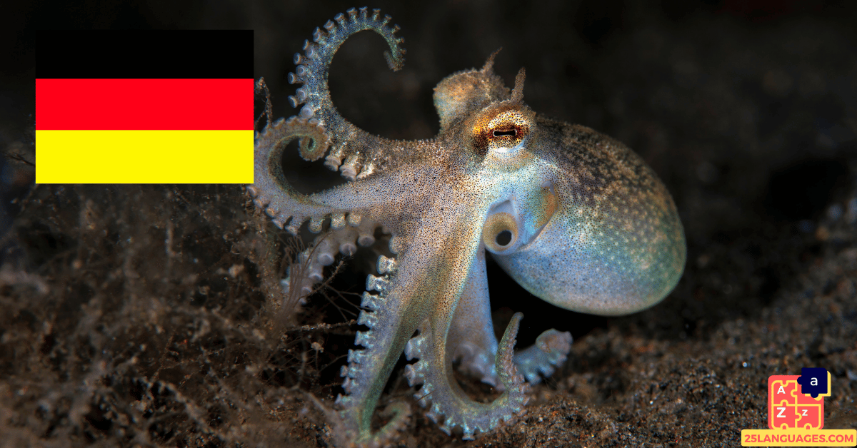 Apprendre l'allemand - Noms des créatures marines