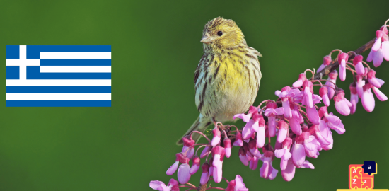 Apprendre le grec - Noms d'oiseaux