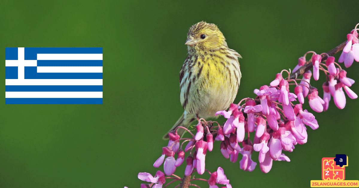 Learn Greek - Birds Names